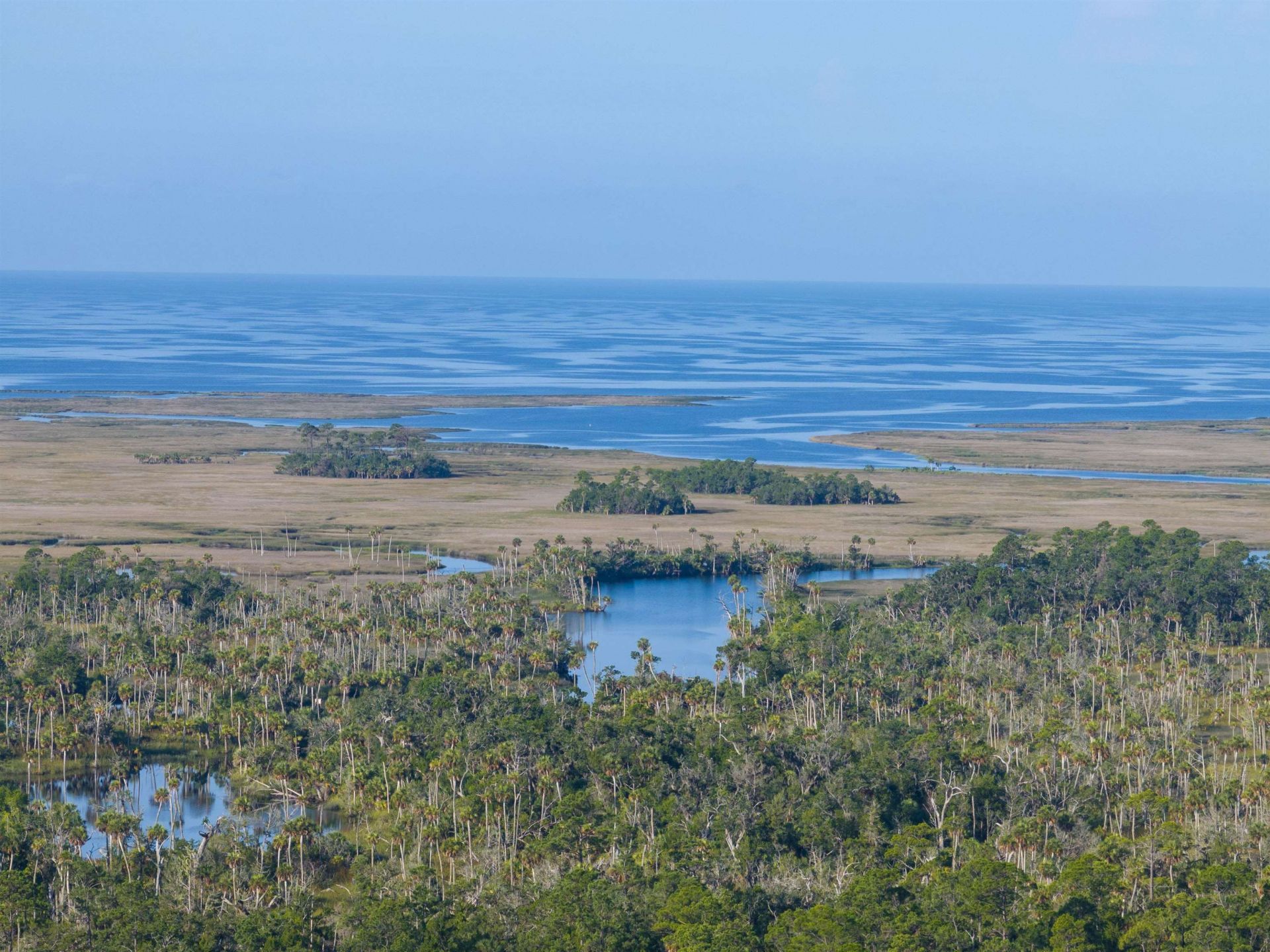 4350 Econfina River Road , Lamont, FL 32336 Photo
