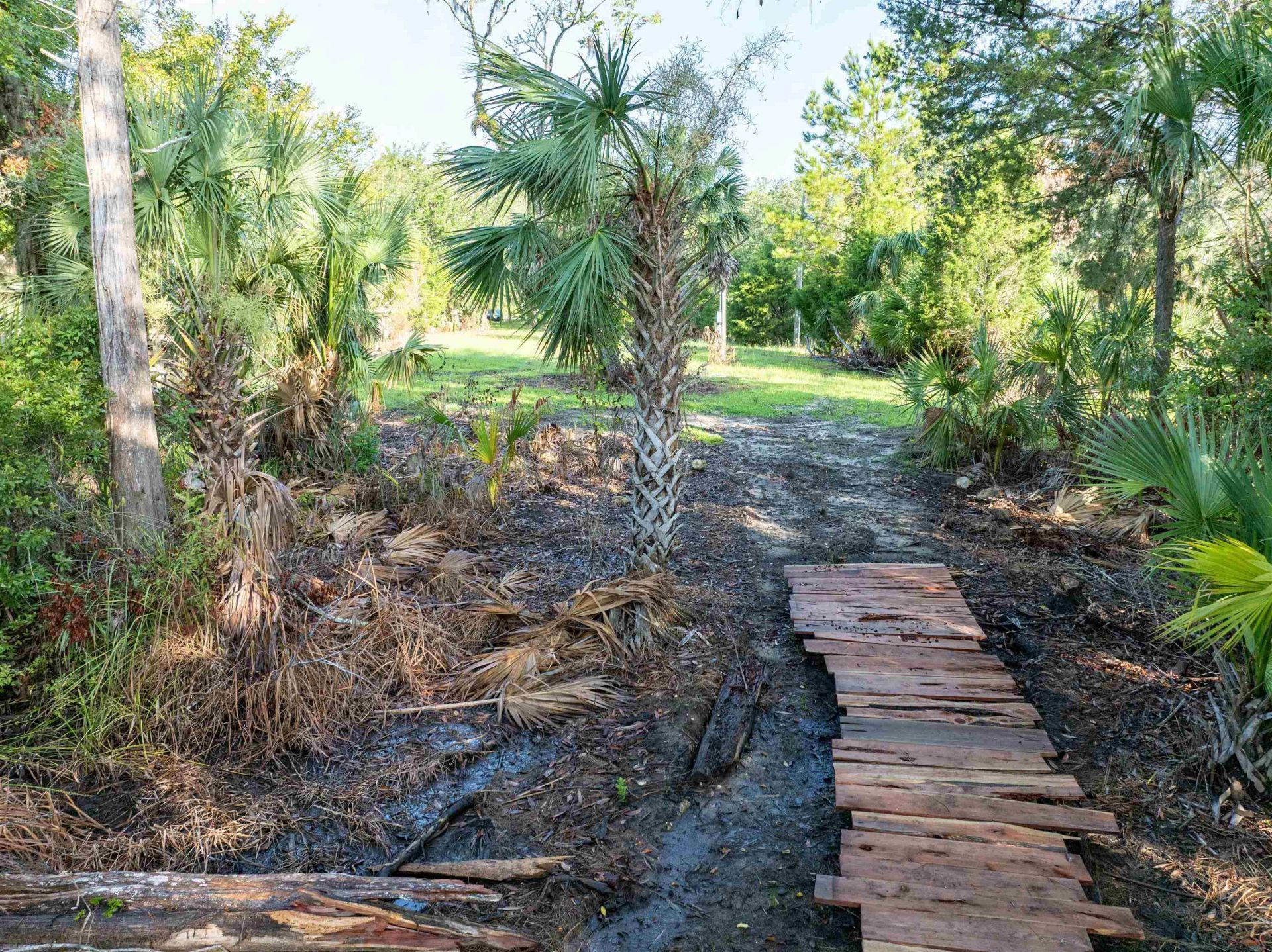 4350 Econfina River Road , Lamont, FL 32336 Photo