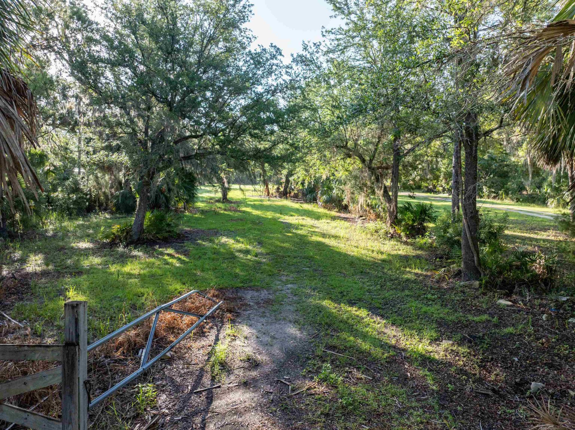 4350 Econfina River Road , Lamont, FL 32336 Photo