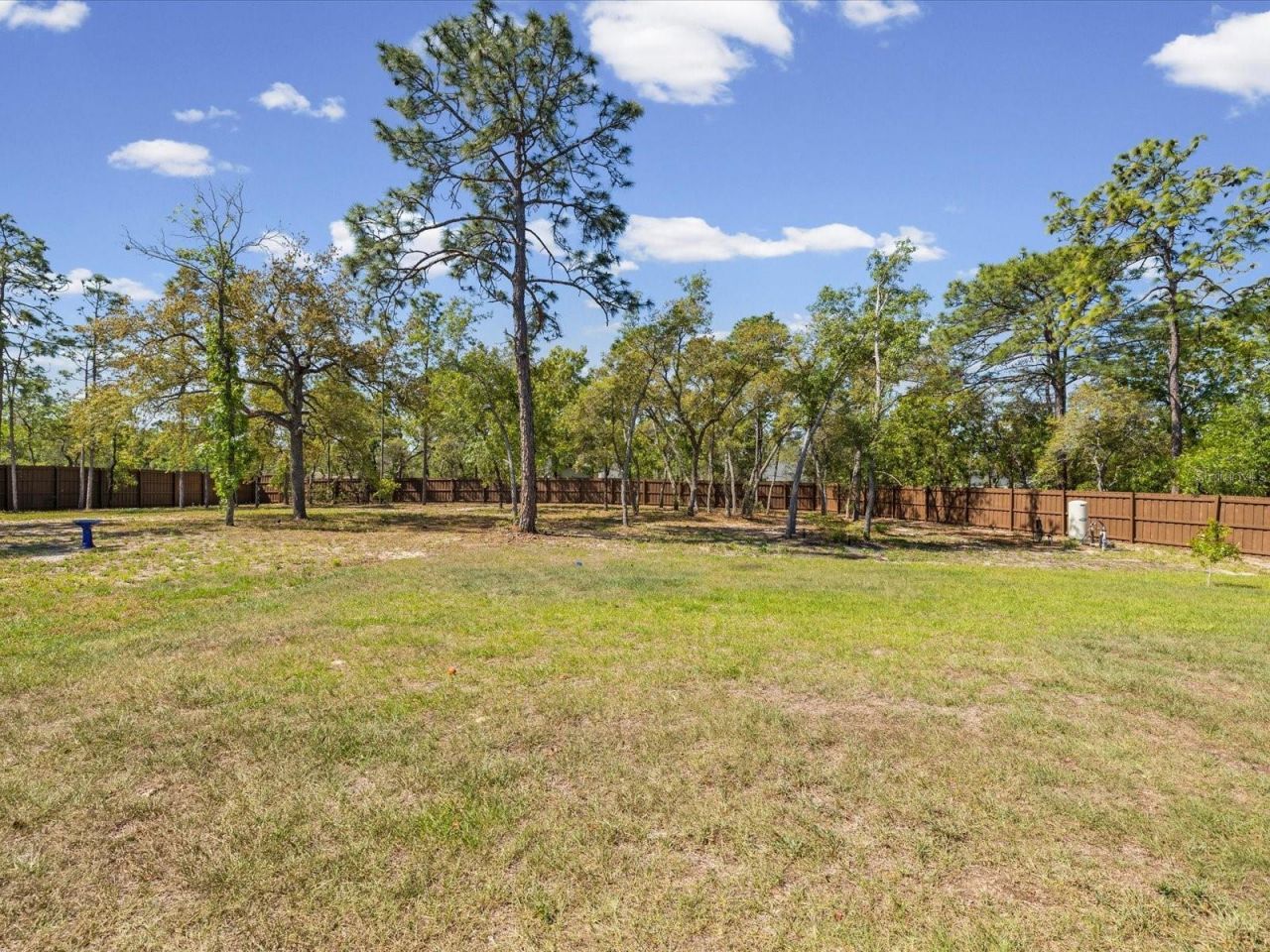 11981 Robina Road, Weeki Wachee, FL 34614 Photo