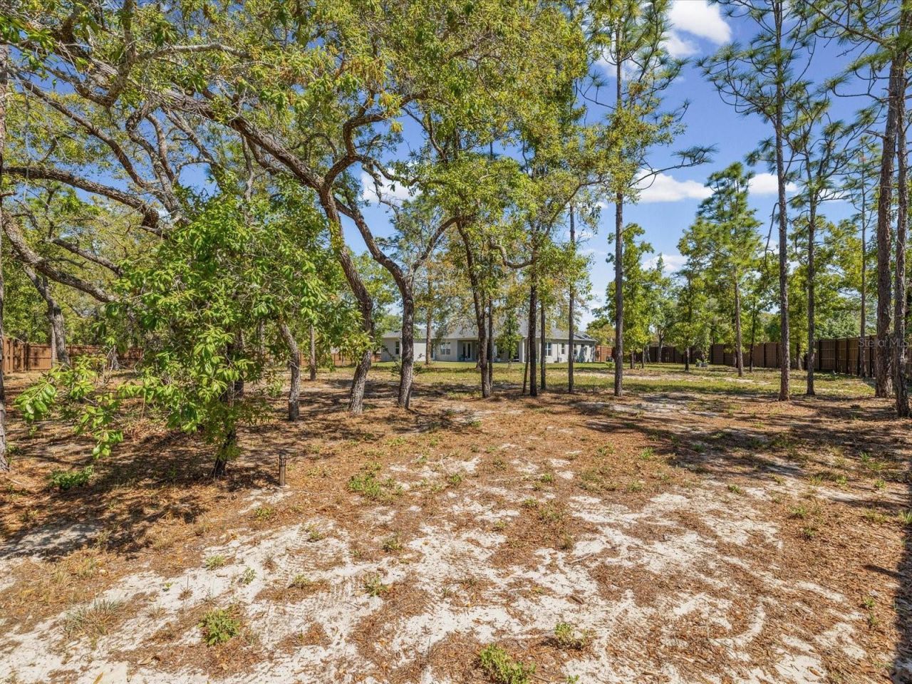 11981 Robina Road, Weeki Wachee, FL 34614 Photo