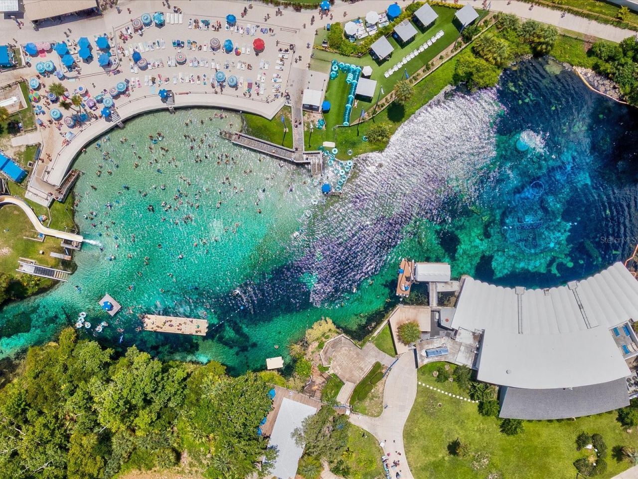 11981 Robina Road, Weeki Wachee, FL 34614 Photo