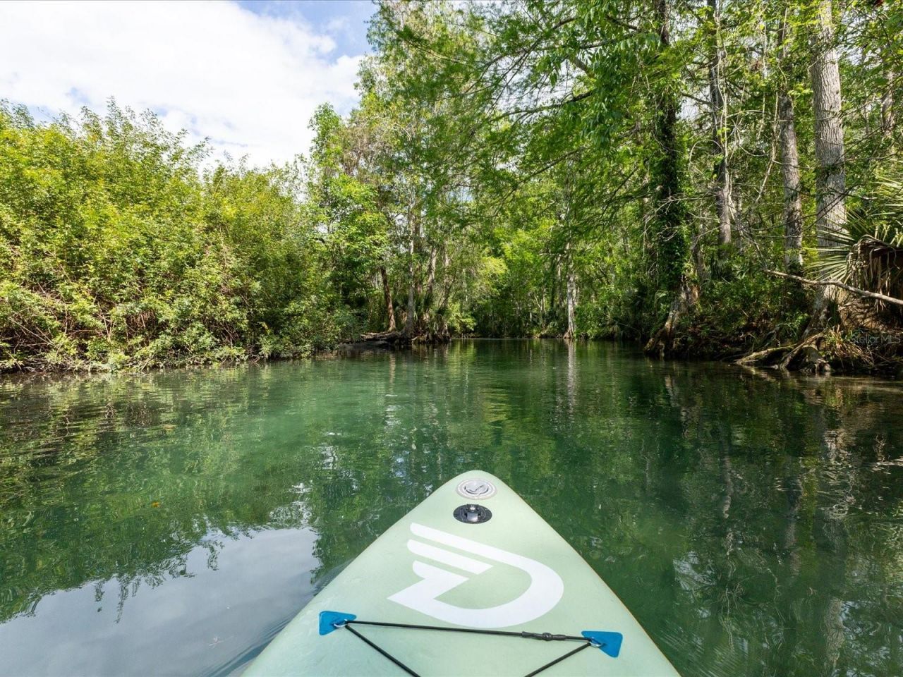 11981 Robina Road, Weeki Wachee, FL 34614 Photo