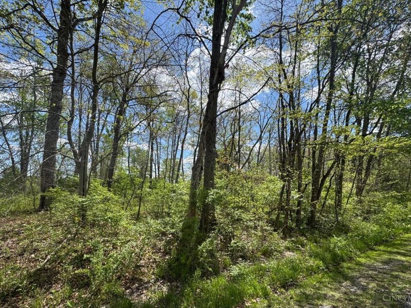 895 Dresden Drive, Perry Twp, OH 45118 Photo 2