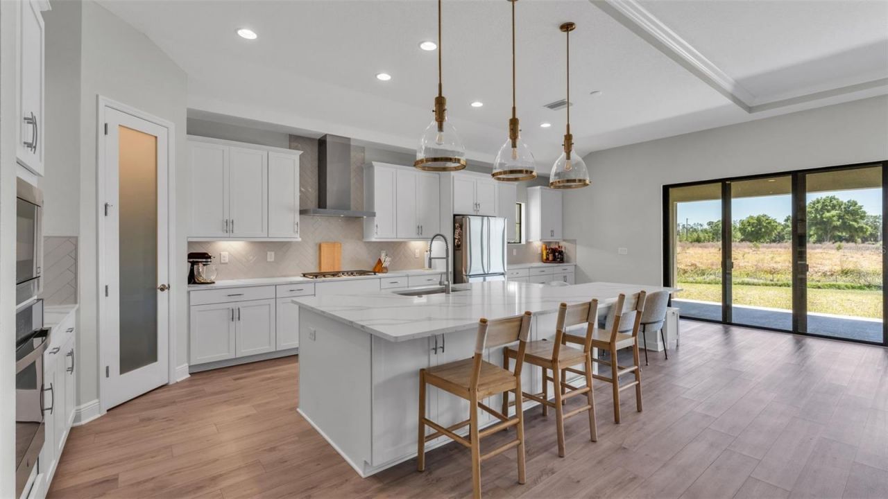 13112 Wellspring Drive, Lithia, FL 33547 Photo