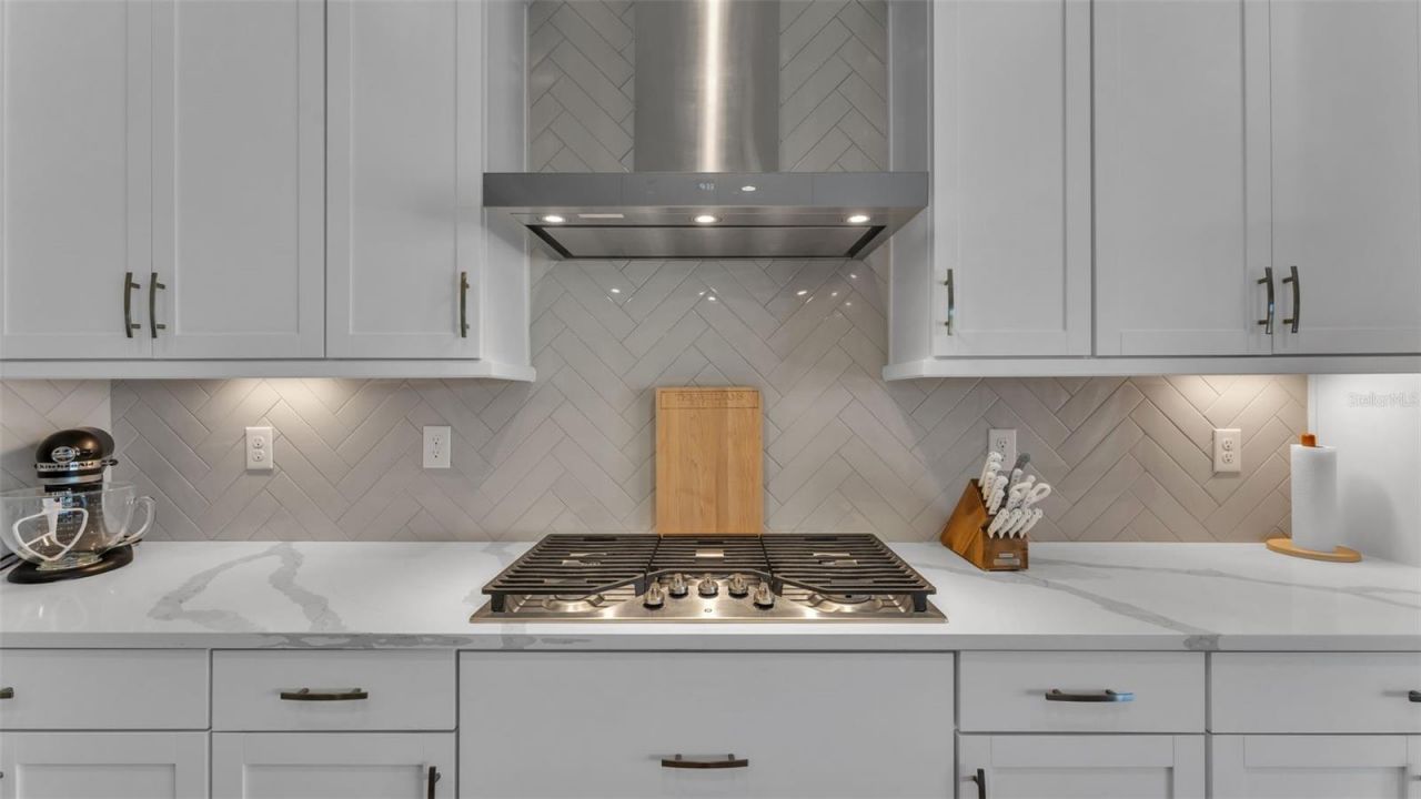 13112 Wellspring Drive, Lithia, FL 33547 Photo