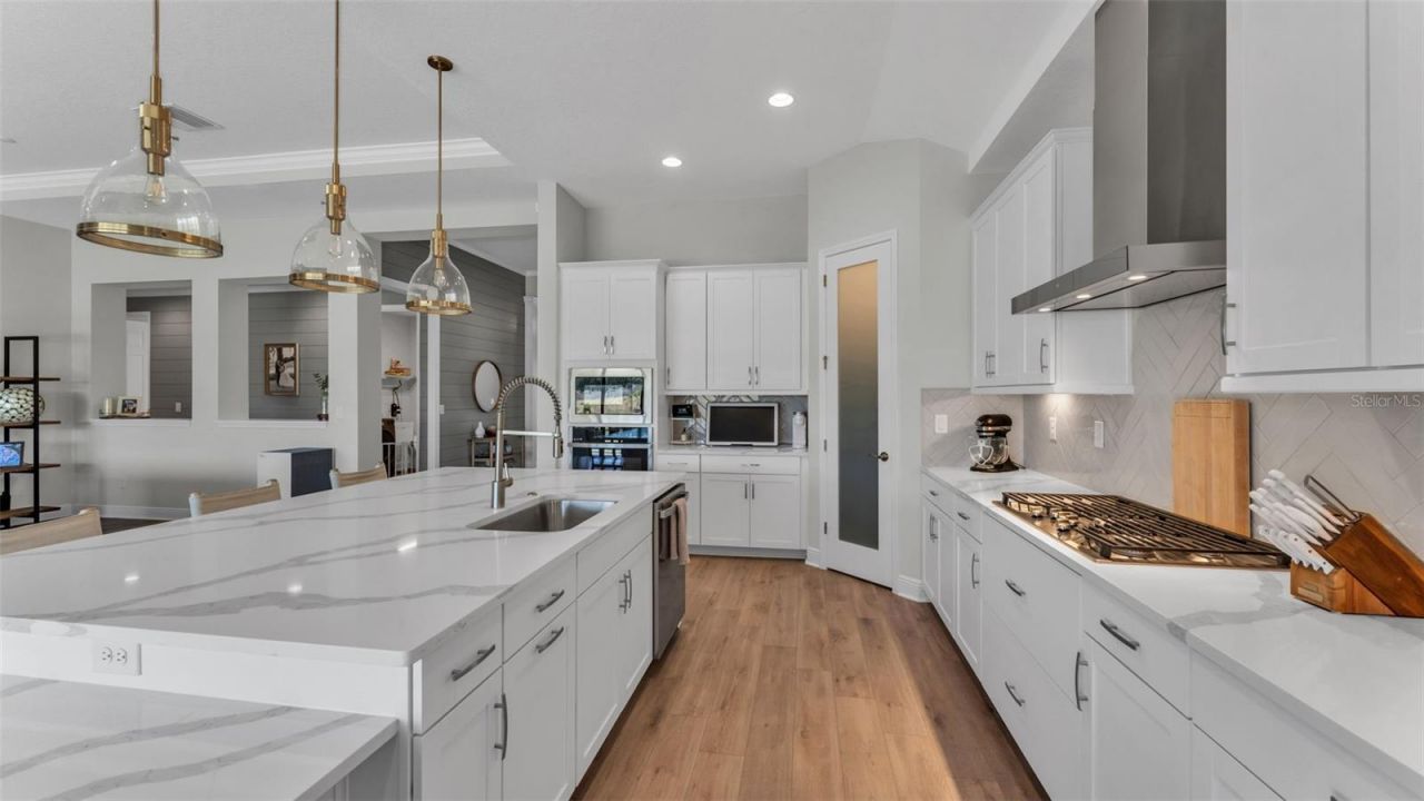 13112 Wellspring Drive, Lithia, FL 33547 Photo