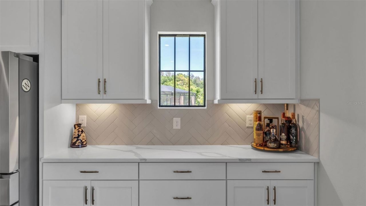 13112 Wellspring Drive, Lithia, FL 33547 Photo