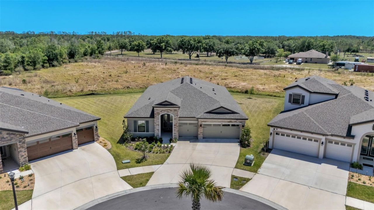 13112 Wellspring Drive, Lithia, FL 33547 Photo