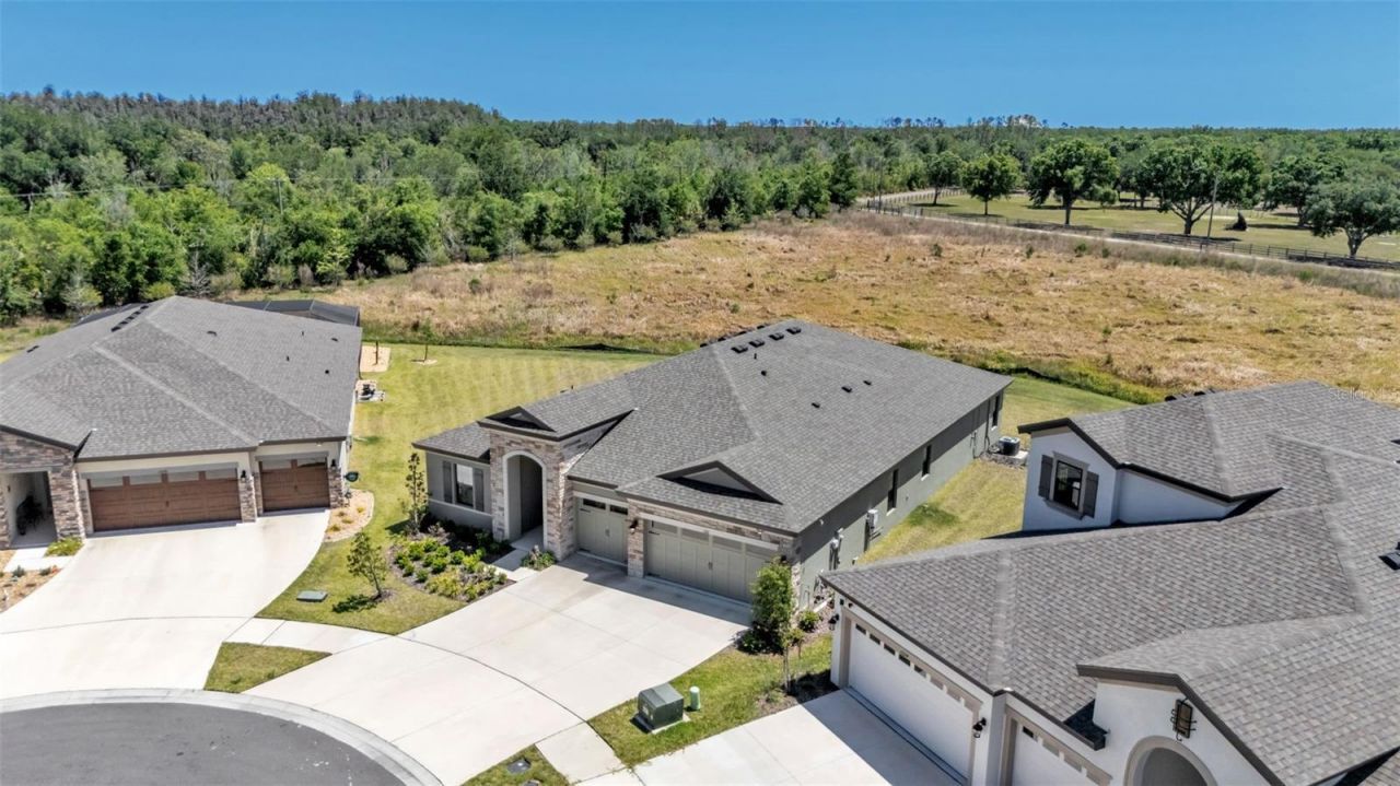 13112 Wellspring Drive, Lithia, FL 33547 Photo