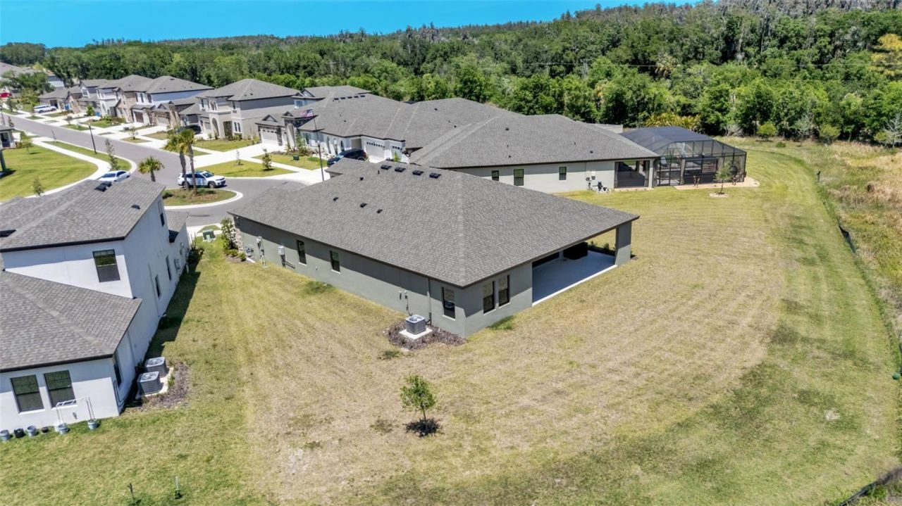 13112 Wellspring Drive, Lithia, FL 33547 Photo