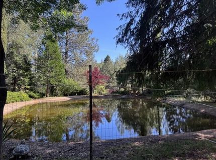 3710 Courageous Rd, Greenwood, CA 95635 Photo