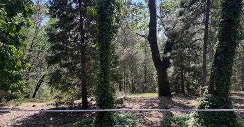 3710 Courageous Rd, Greenwood, CA 95635 Photo
