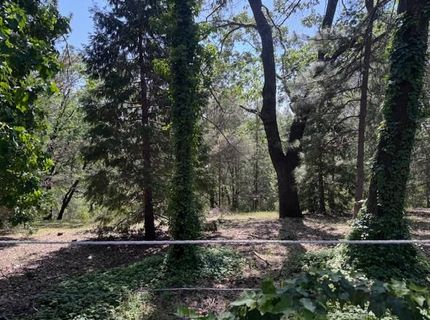 3710 Courageous Rd, Greenwood, CA 95635 Photo
