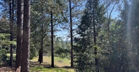 3710 Courageous Rd, Greenwood, CA 95635 Photo