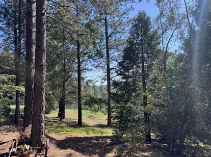 3710 Courageous Rd, Greenwood, CA 95635 Photo