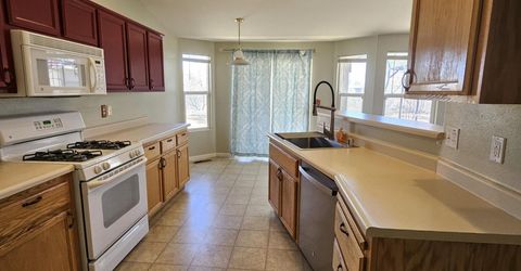 163 Shadow Mountain Drive, Fernley, NV 89408 Photo