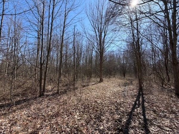 W Somerset Road S, Barker, NY 14012