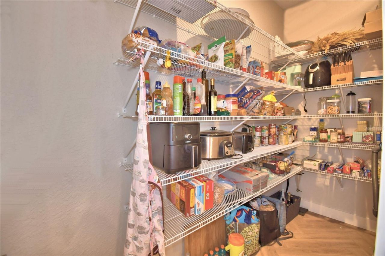 203 Spring Azure Drive, Lake Alfred, FL 33850 Photo