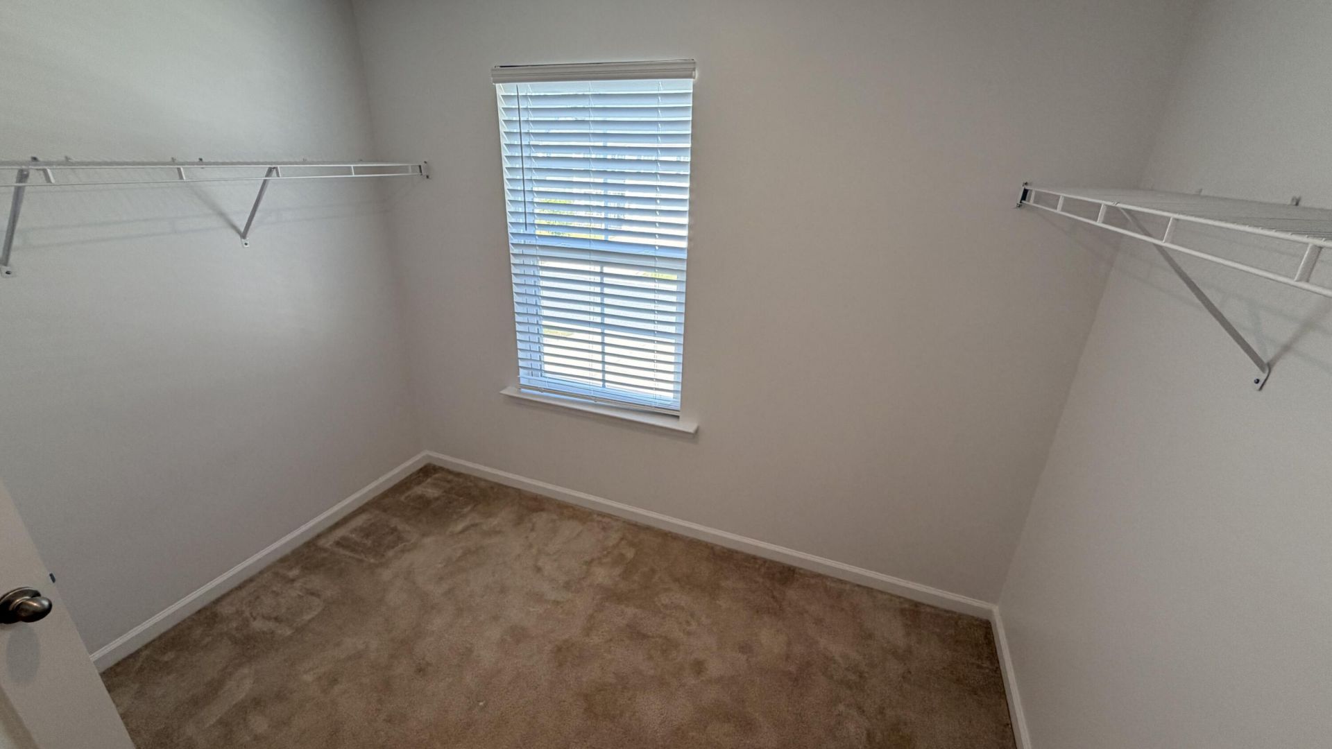 239 Catawba Branch Way Photo 29