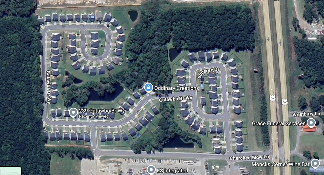 239 Catawba Branch Way Photo 31