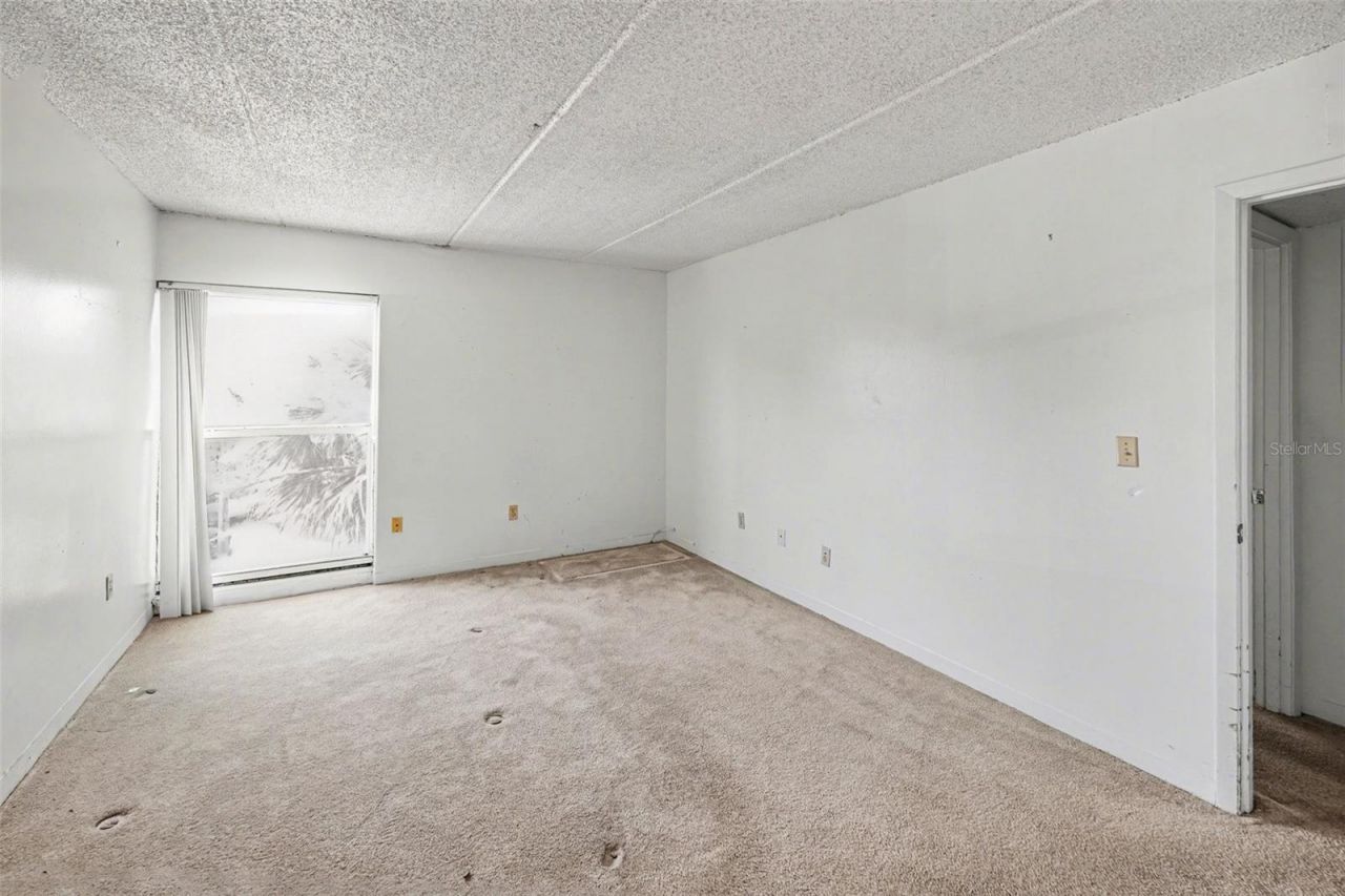 3325 Bayshore Boulevard, Unit F36, Tampa, FL 33629 Photo