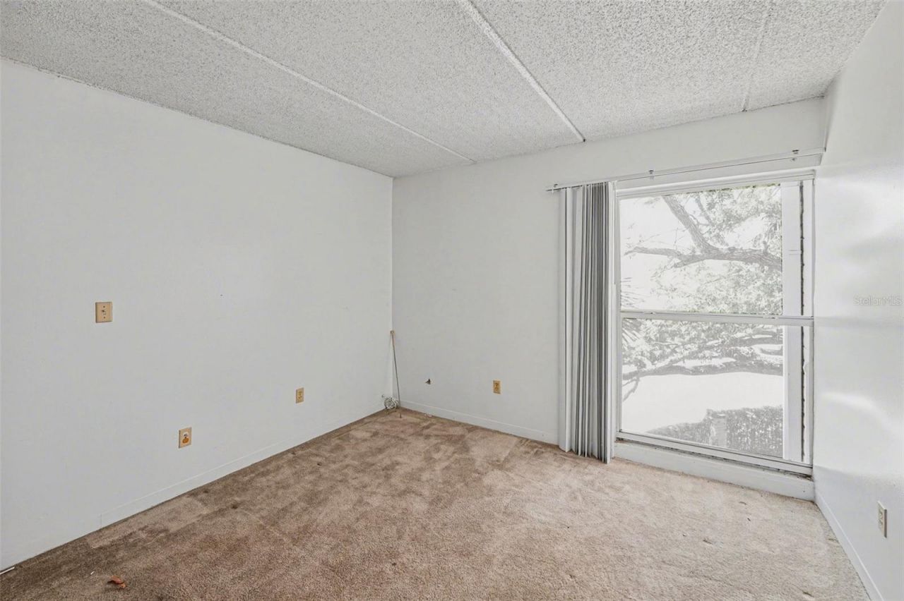 3325 Bayshore Boulevard, Unit F36, Tampa, FL 33629 Photo