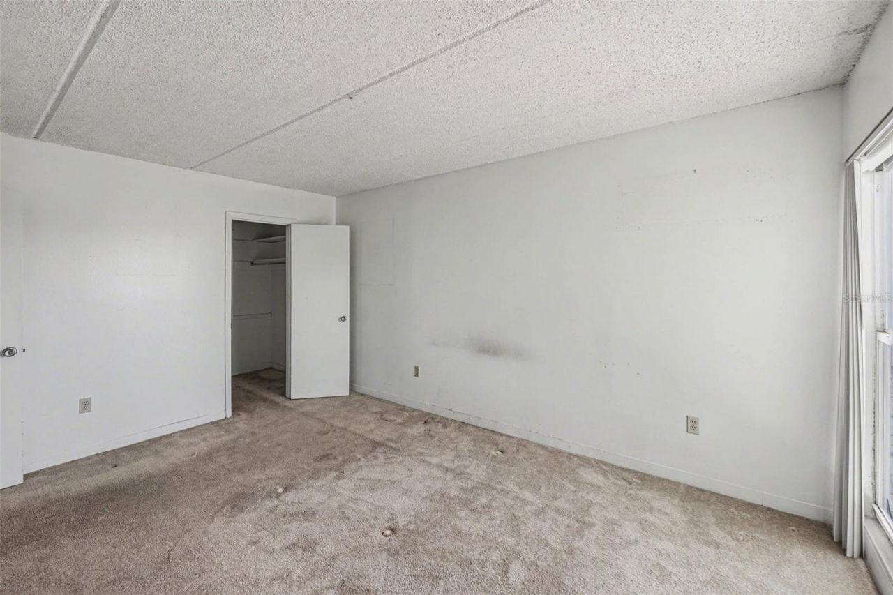 3325 Bayshore Boulevard, Unit F36, Tampa, FL 33629 Photo