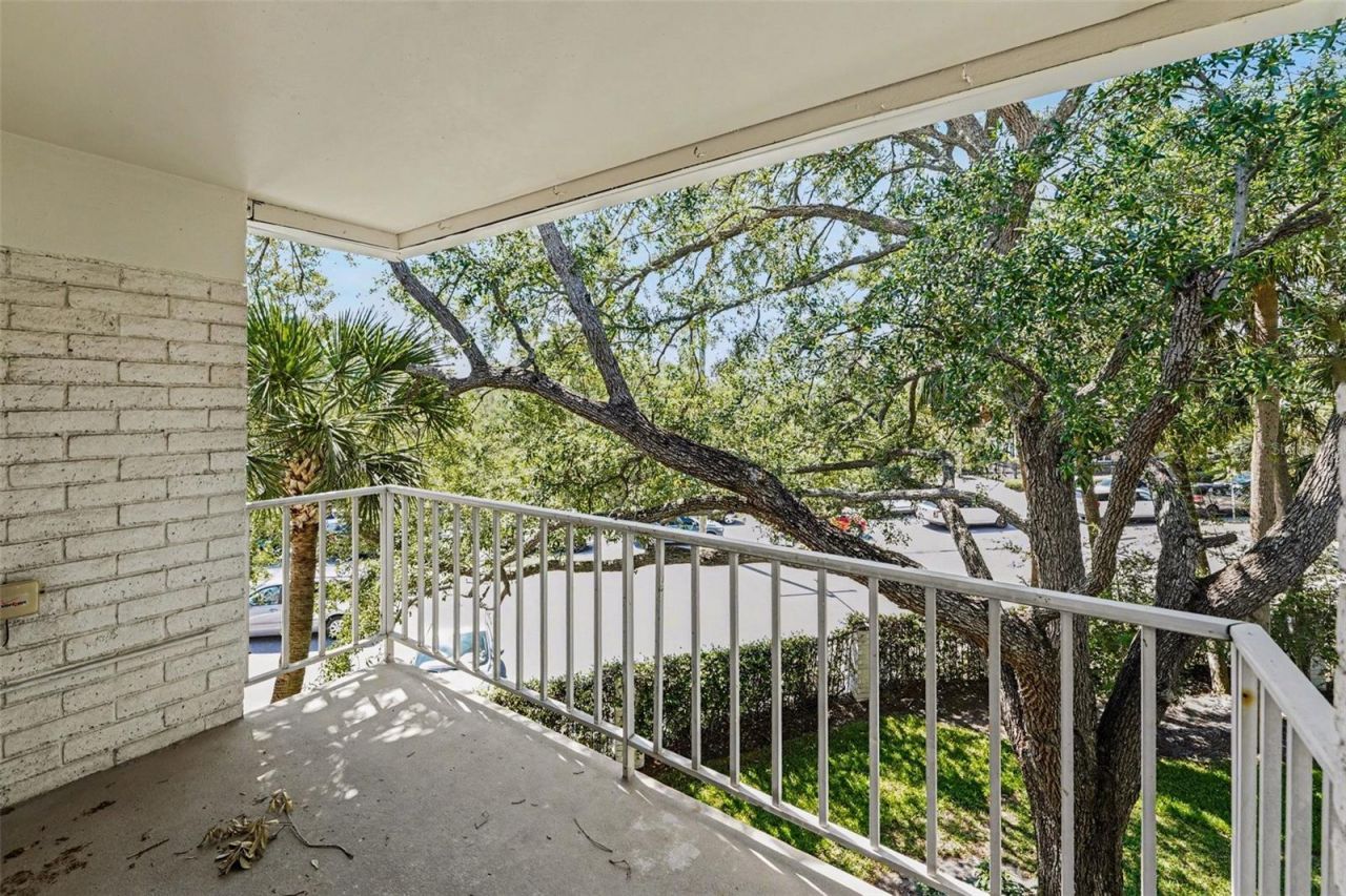 3325 Bayshore Boulevard, Unit F36, Tampa, FL 33629 Photo