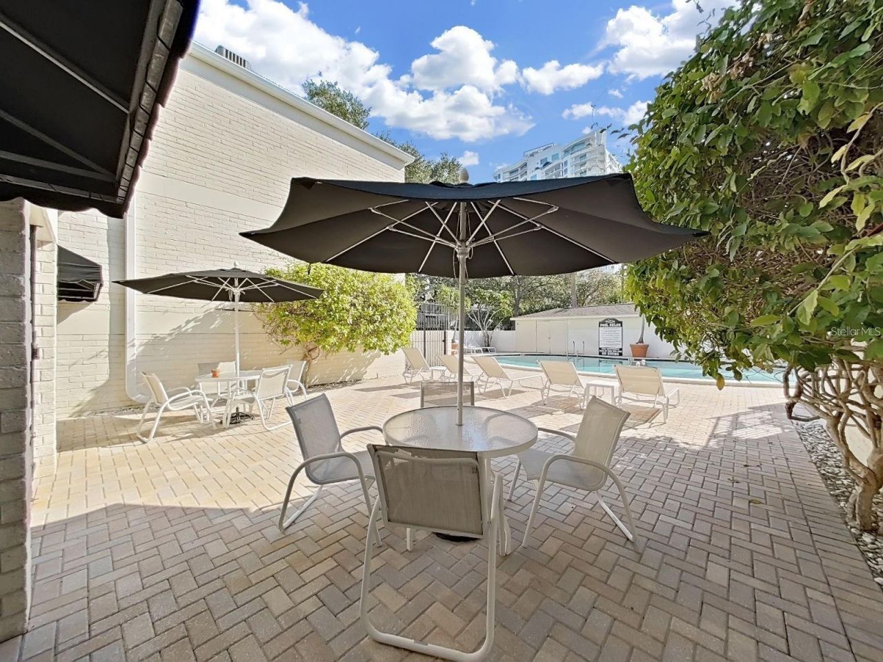 3325 Bayshore Boulevard, Unit F36, Tampa, FL 33629 Photo