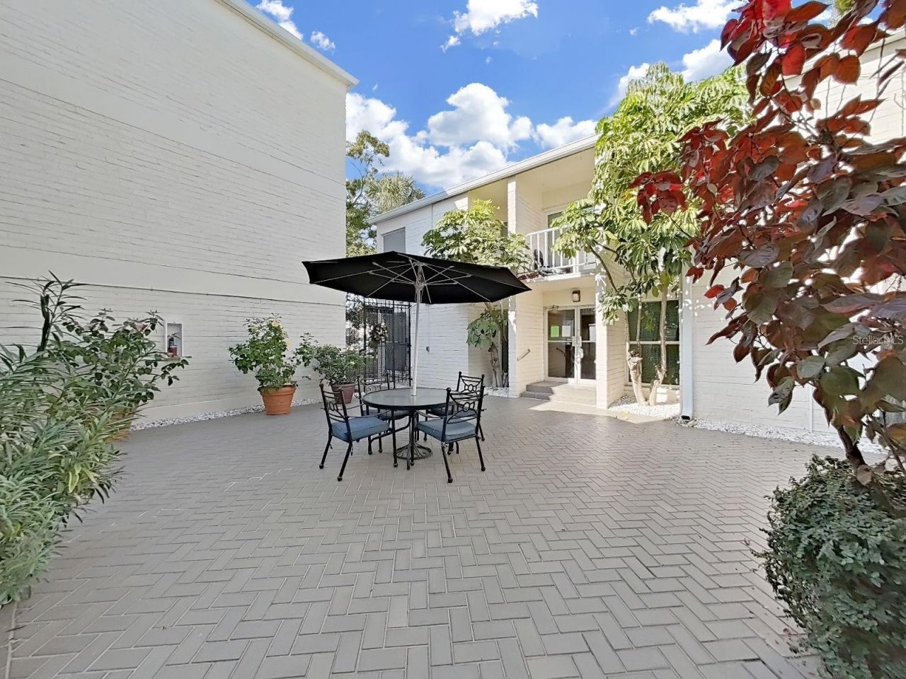 3325 Bayshore Boulevard, Unit F36, Tampa, FL 33629 Photo
