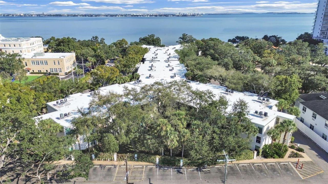 3325 Bayshore Boulevard, Unit F36, Tampa, FL 33629 Photo