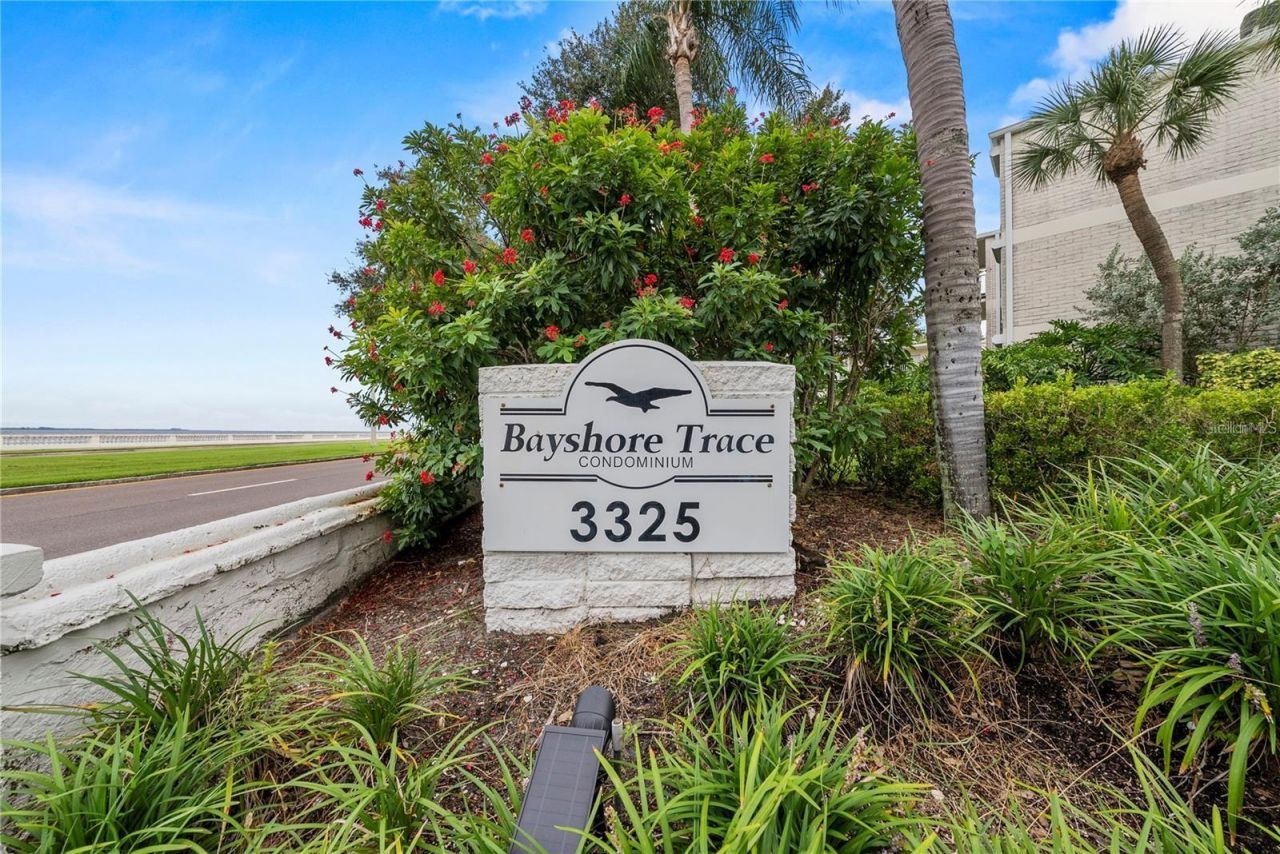 3325 Bayshore Boulevard, Unit F36, Tampa, FL 33629 Photo