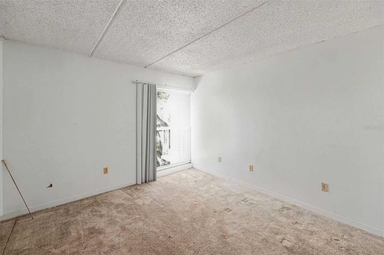 3325 Bayshore Boulevard, Unit F36, Tampa, FL 33629 Photo