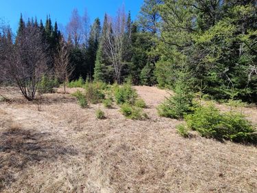 3121 Highway 21, Babbitt, MN 55706