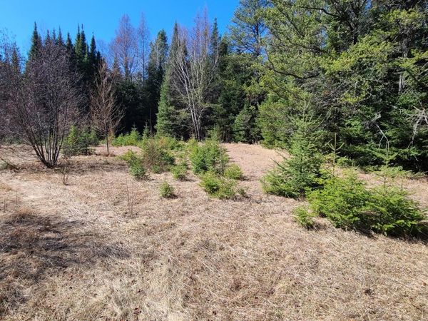 3121 Highway 21 , Babbitt, MN 55706