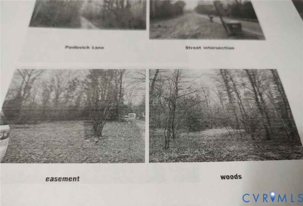 7130 Pavlovich Lane, Henrico, VA 23231 Main Photo