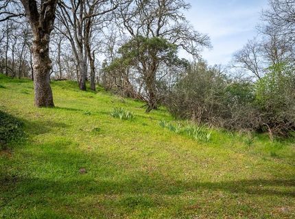Boarman, Jackson, CA 95642 Photo