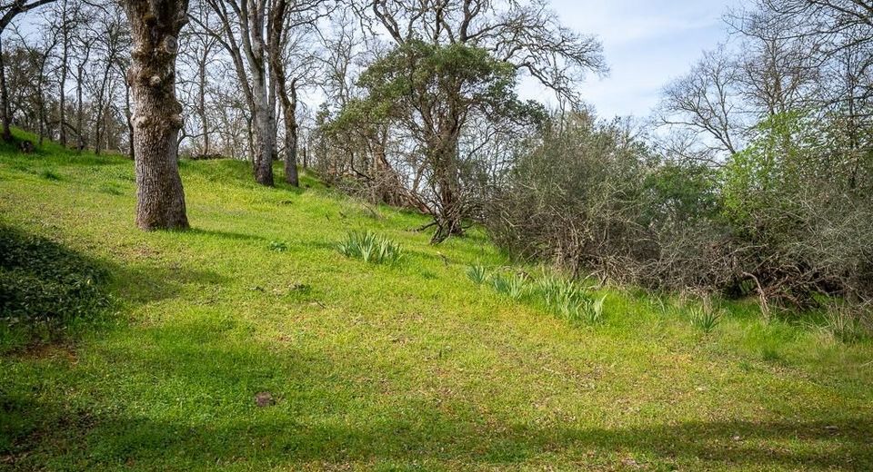 Boarman, Jackson, CA 95642 Photo
