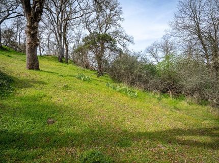 Boarman, Jackson, CA 95642 Photo