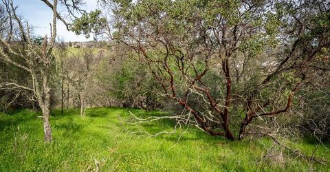 Boarman, Jackson, CA 95642 Photo