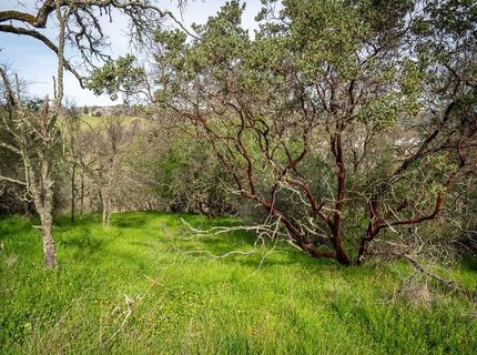 Boarman, Jackson, CA 95642 Photo