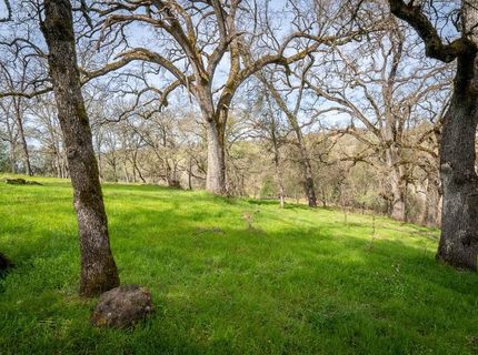 Boarman, Jackson, CA 95642 Photo
