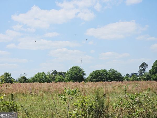 0 Lavender Road, Ivey, GA 31031