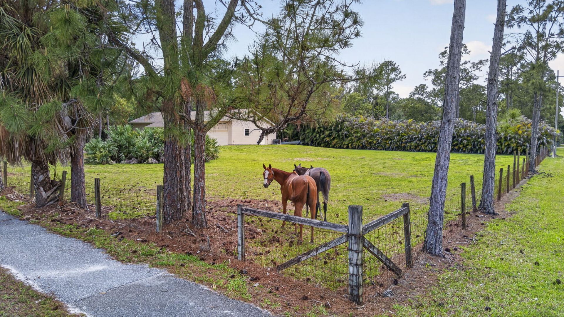 6045 Hall Boulevard, The Acreage, FL 33470 Photo
