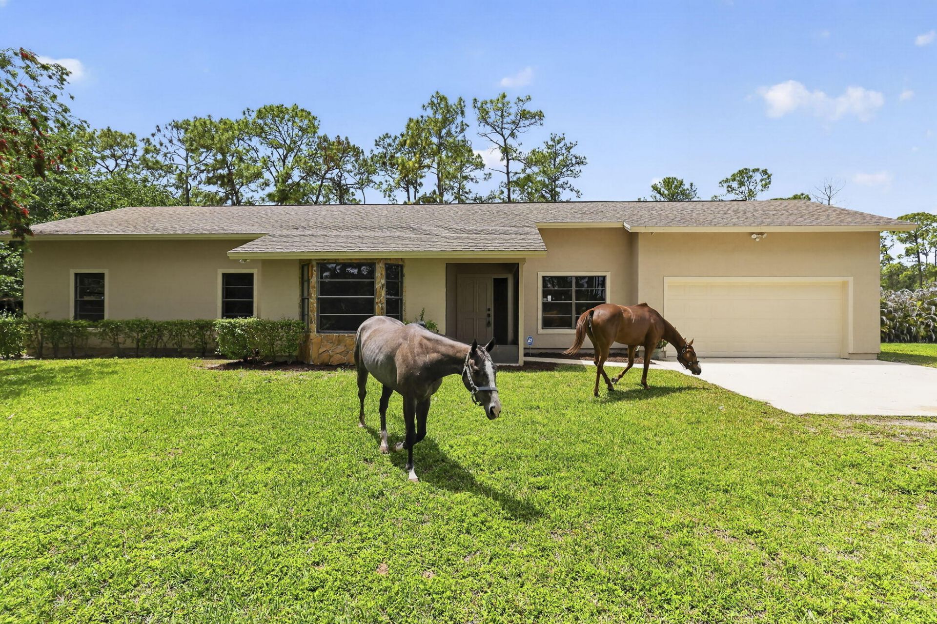 6045 Hall Boulevard, The Acreage, FL 33470 Photo