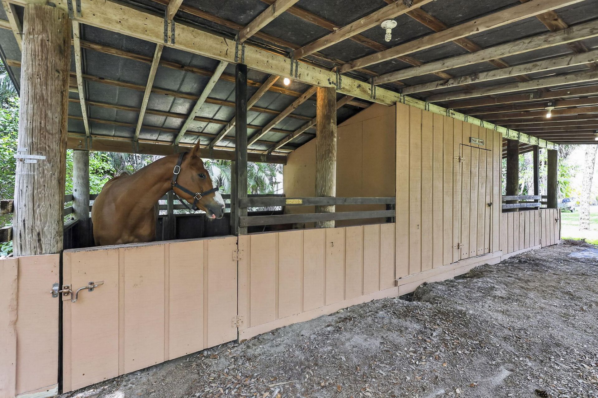 6045 Hall Boulevard, The Acreage, FL 33470 Photo