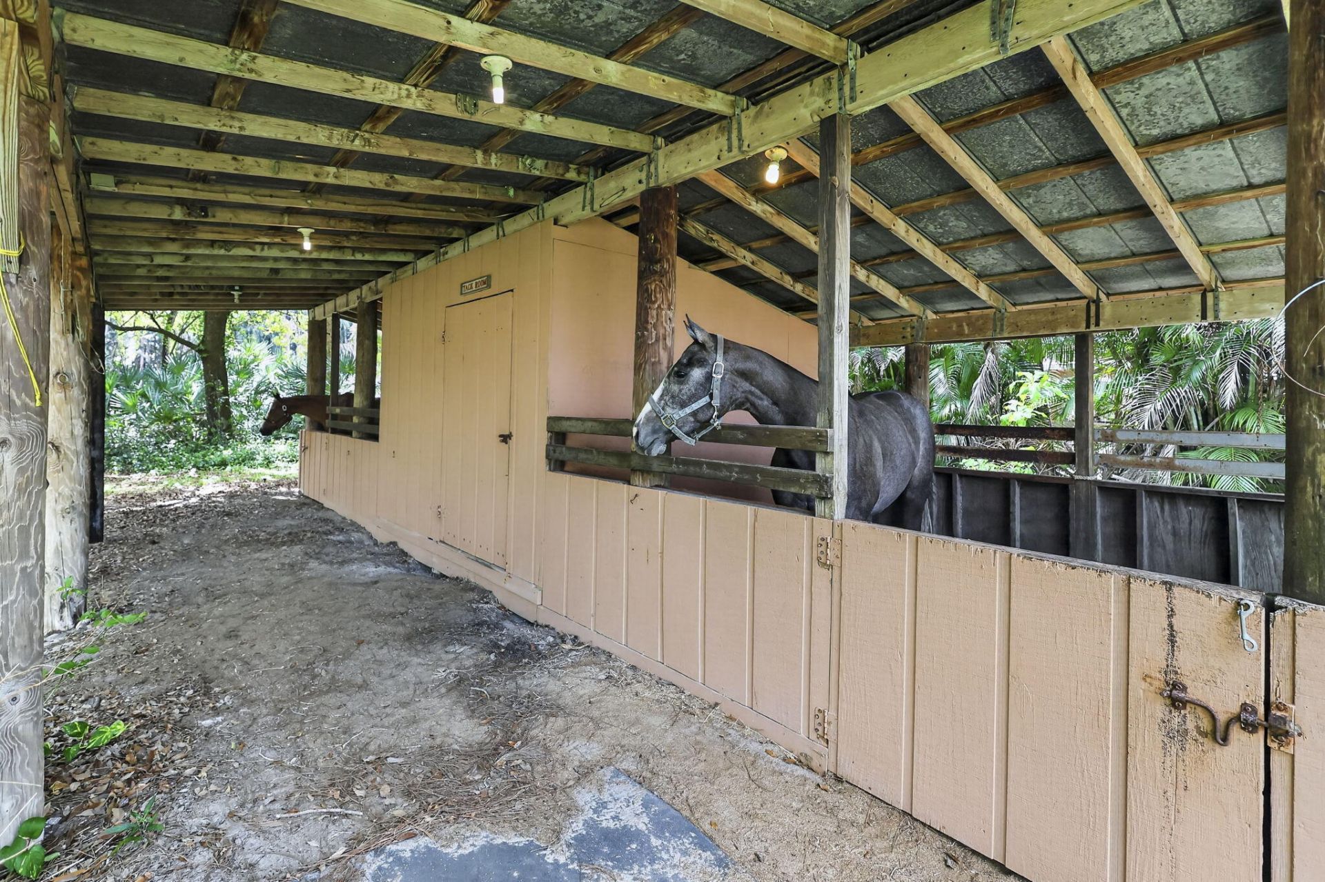 6045 Hall Boulevard, The Acreage, FL 33470 Photo
