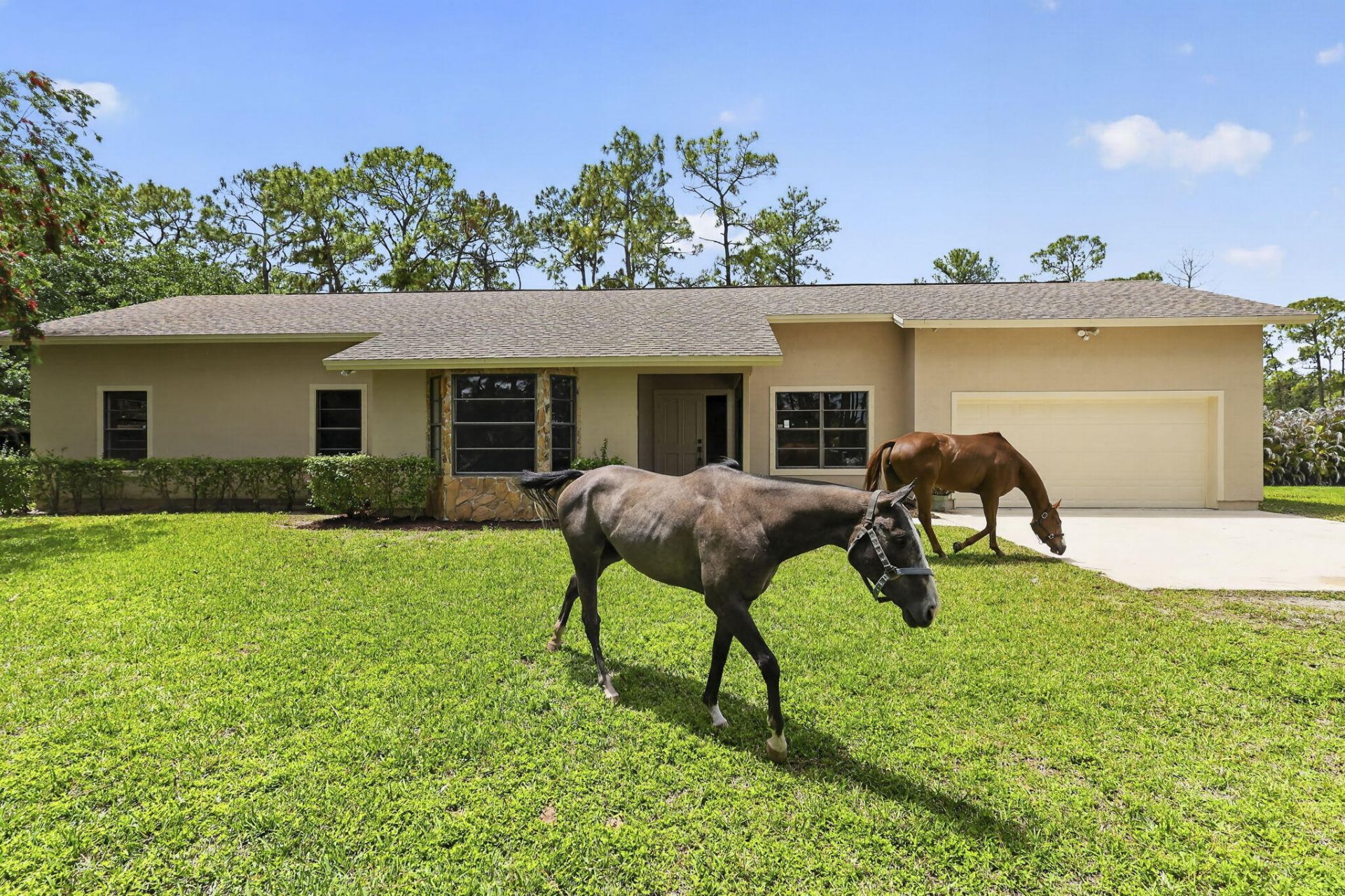 6045 Hall Boulevard, The Acreage, FL 33470 Photo
