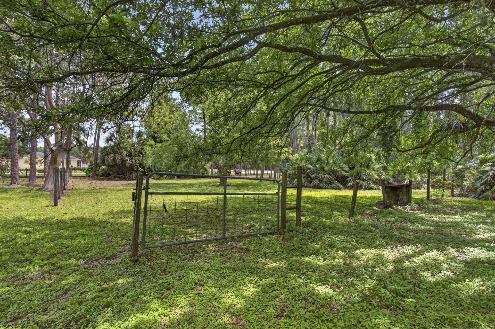 6045 Hall Boulevard, The Acreage, FL 33470 Photo